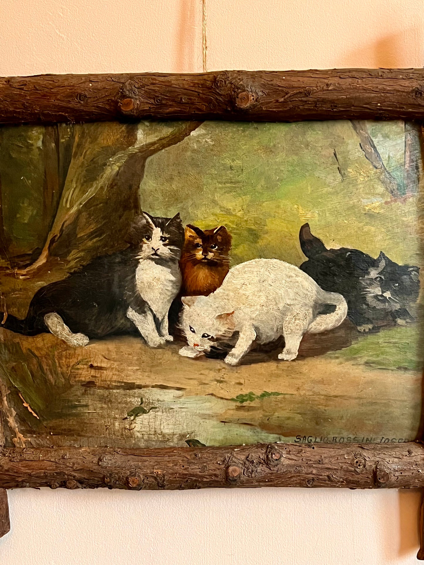 Late C19th Italian Oil On Board Cat Painting