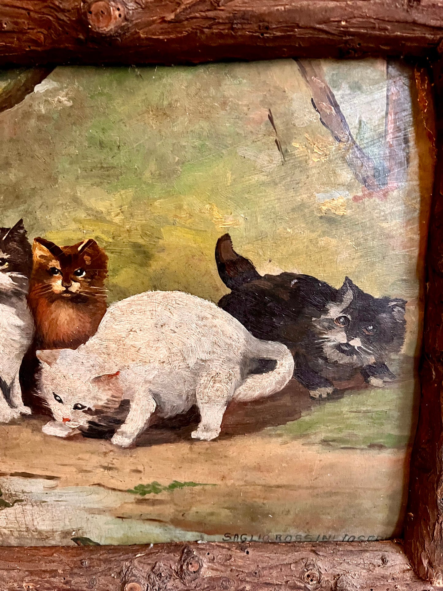 Late C19th Italian Oil On Board Cat Painting
